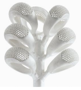 Drzewko odlewnicze na podstawie drukowanych 3D modeli